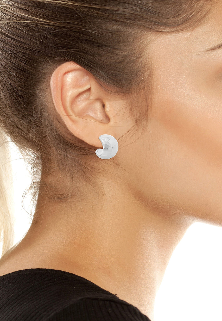 فيتكه هووبس فضي