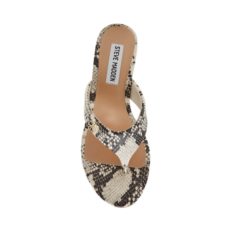 Soundview Brown Women's Heels