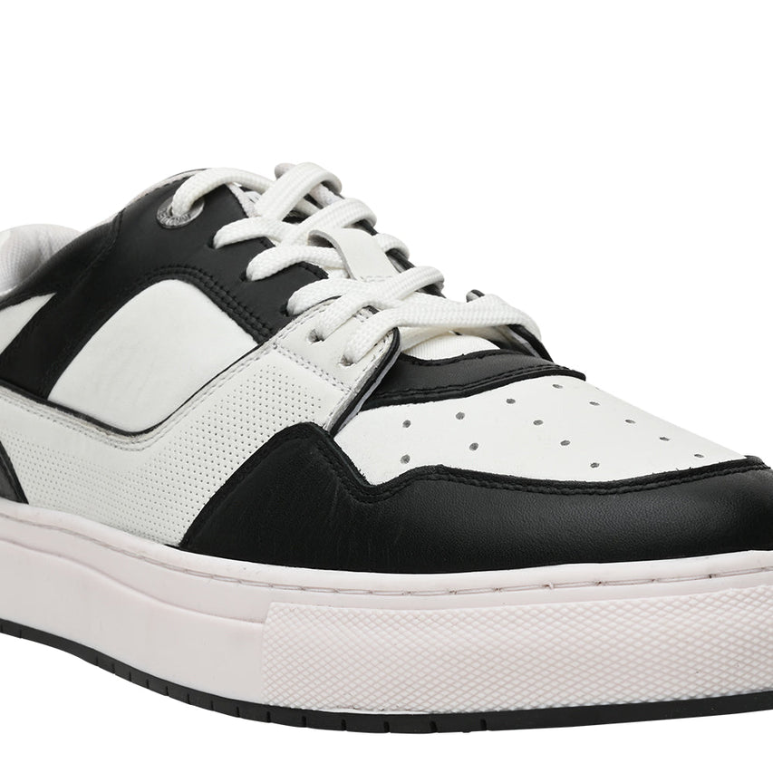 ترايلون أسود متعدد الألوان